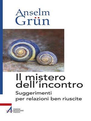 cover image of Il mistero dell'incontro